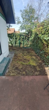 Imagen 6 de servicio