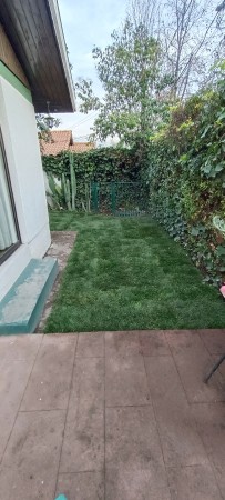 Imagen 8 de servicio