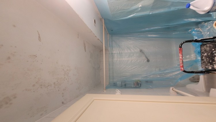 Imagen 79 de servicio