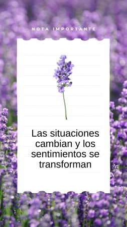 Imagen principal del servicio