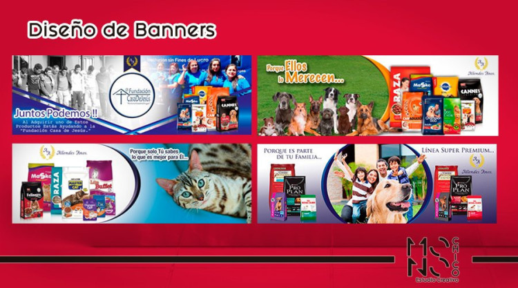 Imagen 7 de servicio