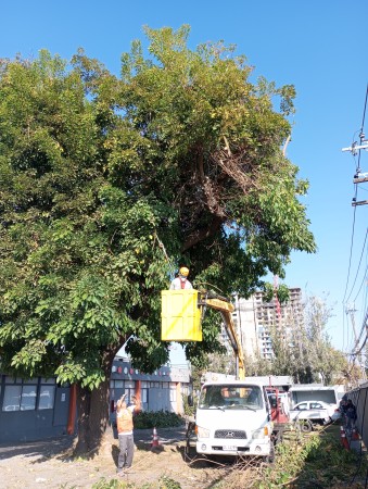 Imagen 5 de servicio