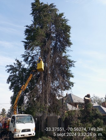 Imagen 29 de servicio