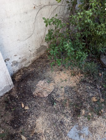 Imagen 34 de servicio