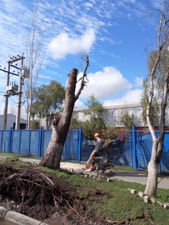 Imagen 36 de servicio