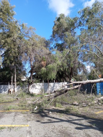 Imagen 37 de servicio
