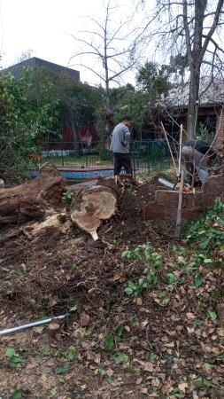 Imagen 35 de servicio
