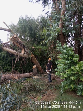 Imagen 46 de servicio