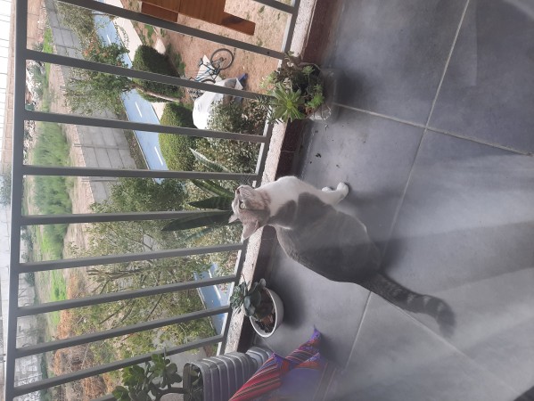 Imagen 3 de servicio