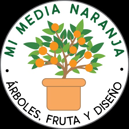 Imagen principal del servicio