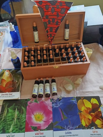 Imagen principal del servicio