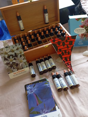 Imagen principal del servicio