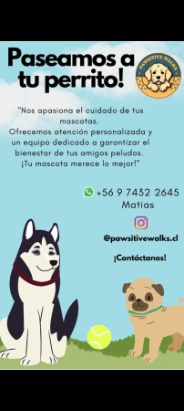 Imagen 0