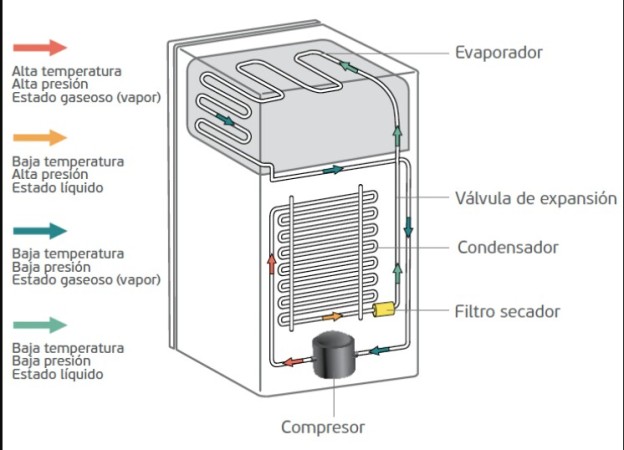 Imagen principal del servicio