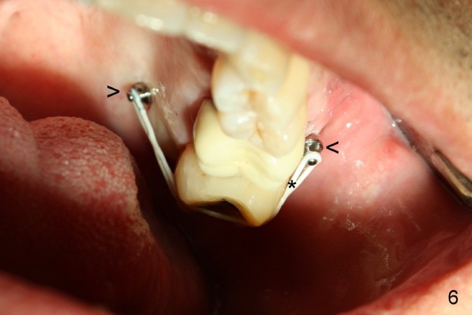 Imagen principal del servicio
