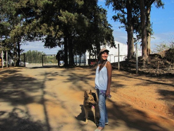 Imagen 2