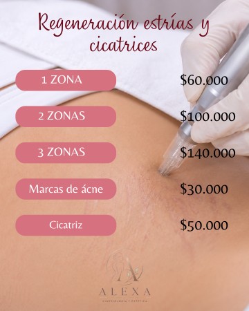 Imagen principal del servicio