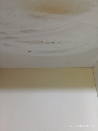 Imagen 4 de servicio