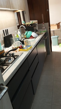 Imagen 7 de servicio