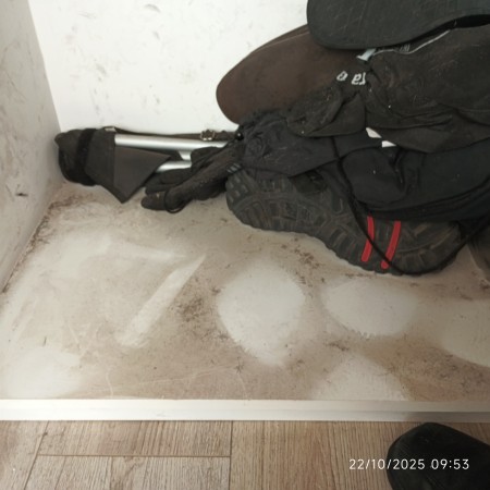 Imagen 10 de servicio