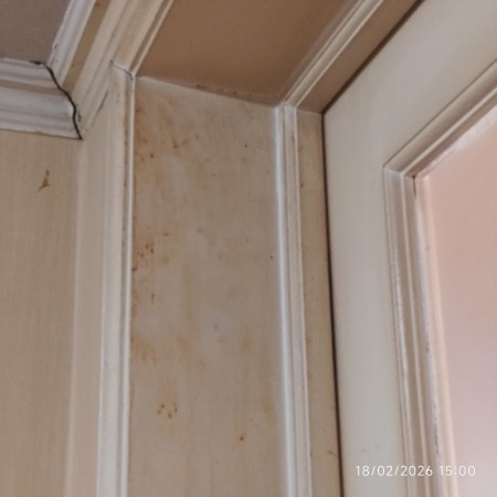 Imagen 12 de servicio