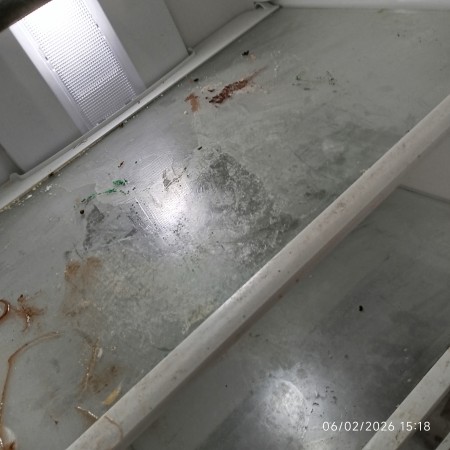 Imagen 14 de servicio