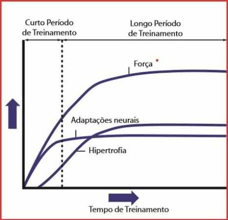 Imagen 3 de servicio