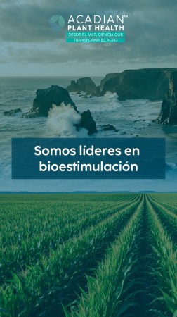 Imagen principal del servicio