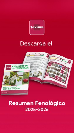 Imagen principal del servicio