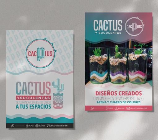 Imagen 9 de servicio