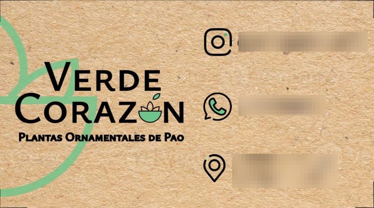 Imagen principal del servicio