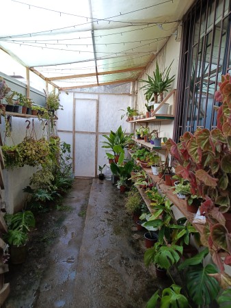 Imagen principal del servicio