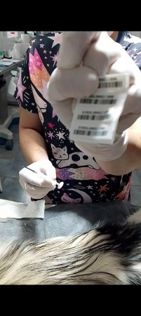 Imagen 27 de servicio