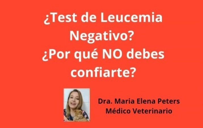Imagen 55 de servicio