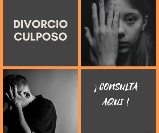 Imagen 5 de servicio
