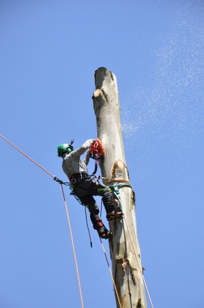 Imagen 3 de servicio