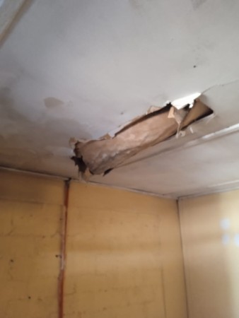 Imagen 8 de servicio
