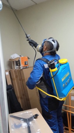 Imagen principal del servicio