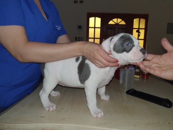 Imagen principal del servicio