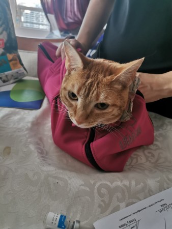 Imagen principal del servicio