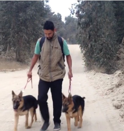 Imagen principal del servicio