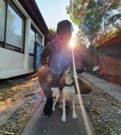 Imagen principal del servicio