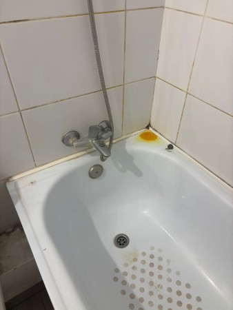 Imagen principal del servicio
