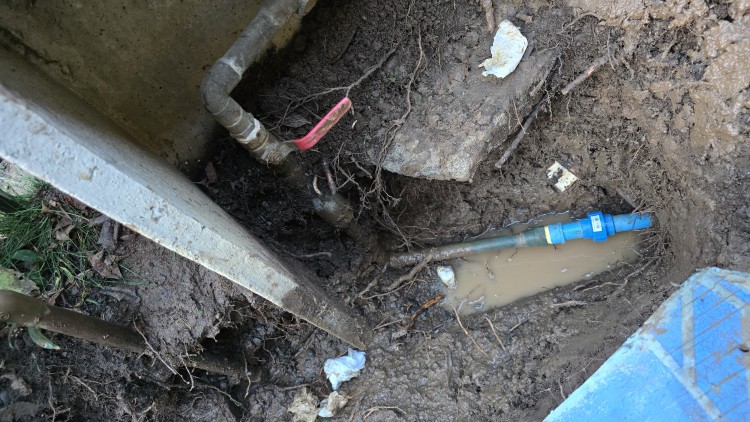 Imagen 6 de servicio