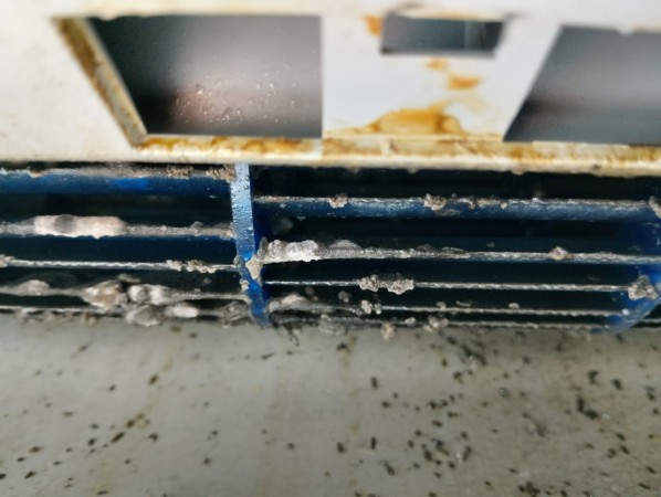 Imagen principal del servicio