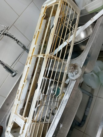 Imagen 5 de servicio