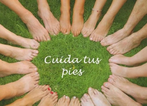 Imagen 0