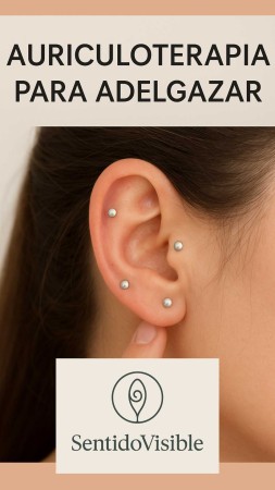 Imagen principal del servicio