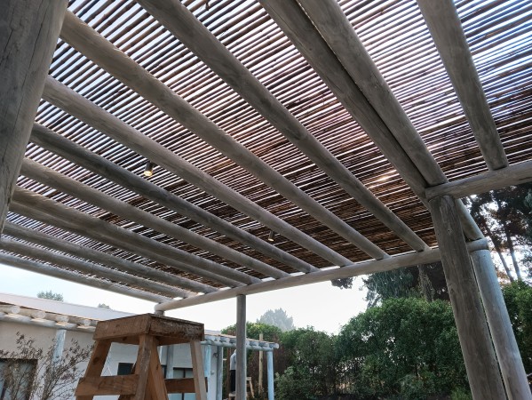 Imagen 23 de servicio