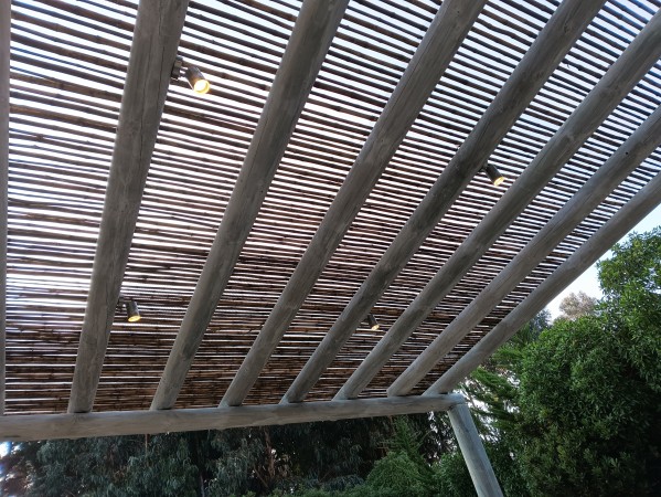 Imagen 22 de servicio